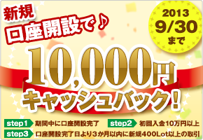 �����J�݃L�����y�[��